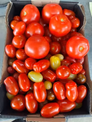 3 kg mix Tomater
