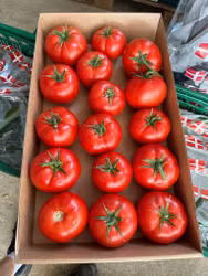 Bøf tomat 6kg