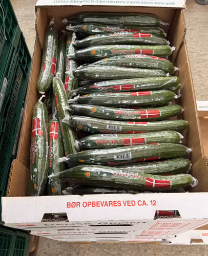 Kasse med 55stk agurker