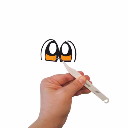 Turtle Eyes Orange 40 mm