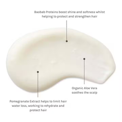 Evolve Super Shine Conditioner 250ml
