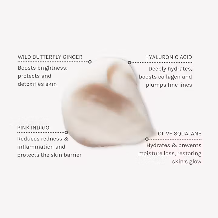 Evolve Hydrate & Protect Facial Cream