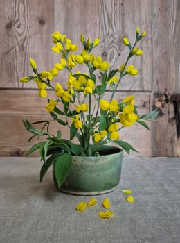 Blomsterkit - skål med blomstergroda