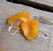 Earrings, chips
