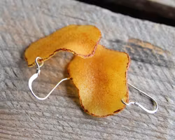 Earrings, chips