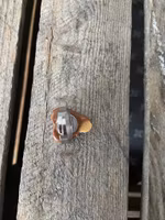 Ring, chokladhjärta med kolasås