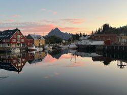 Lofoten #22/2025. Extra av allt allt.