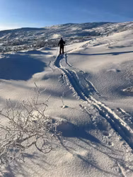 NYHET: vecka 10 och  unik Turskidåkning  i Telemark!