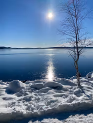 25/12 Lämna släkten hemma och kom ut  på Djurgården en stund!