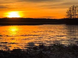 25/12 Lämna släkten hemma och kom ut  på Djurgården en stund!