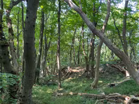 Möt våren med en Skånsk Vandringshelg och fina turer i 3 dagar!