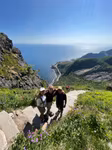 Lofoten #26 i juni på Lofoten med mycket av allt.