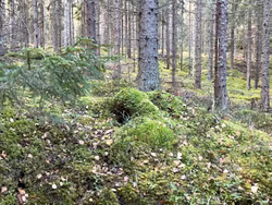 4 NYA äventyr väntar i oktober - Dagsvandringar i Skåne, Västergötland och Stockholm!