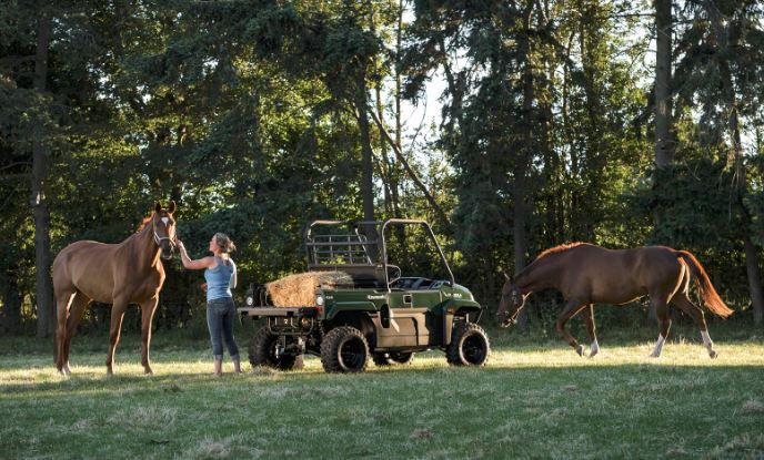 Mule Pro MX 4X4 2025
