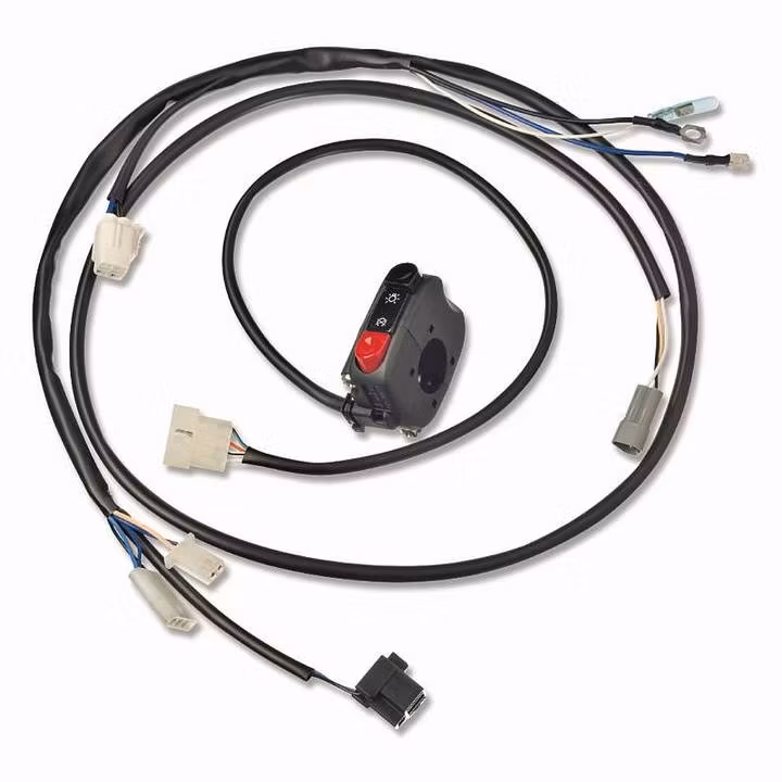 WIRING HARNESS KIT BETA RR 2T