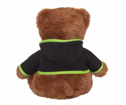 Kawasaki Nallebjörn