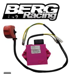 Kawasaki KX 85 CDI box  Tomasini
