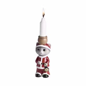 Ljustake Katt, Tomte
