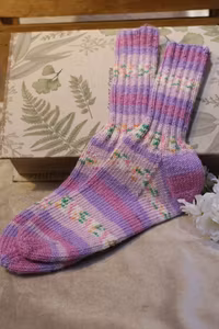 Raggsockor