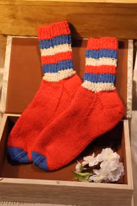 Raggsockor