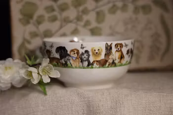Skål med gulliga hundar