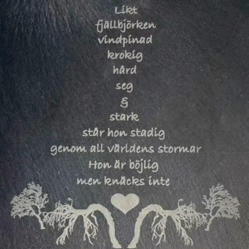 Vägglykta Fjällbjörk