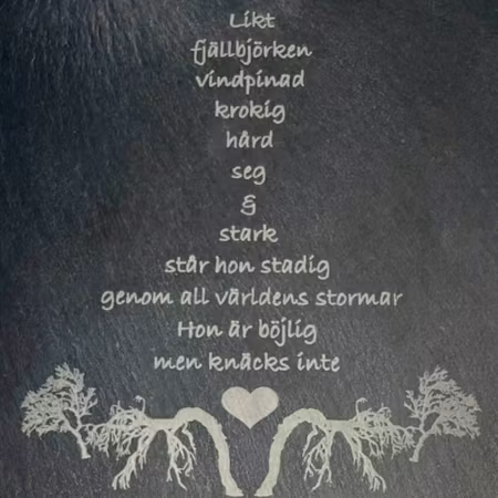 Vägglykta Fjällbjörk