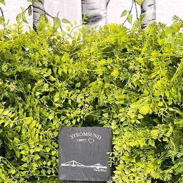 Glasunderlägg - Strömsund