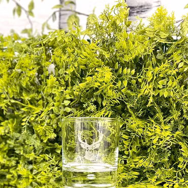 Whiskyglas Hjort