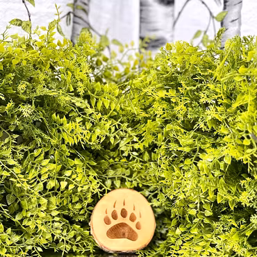 Glasunderlägg - Björn - Björk