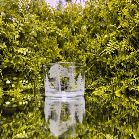 Graverad Ljuslykta Skog