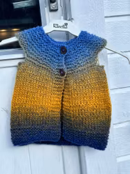Vest