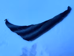 Asymmetrisk sjal