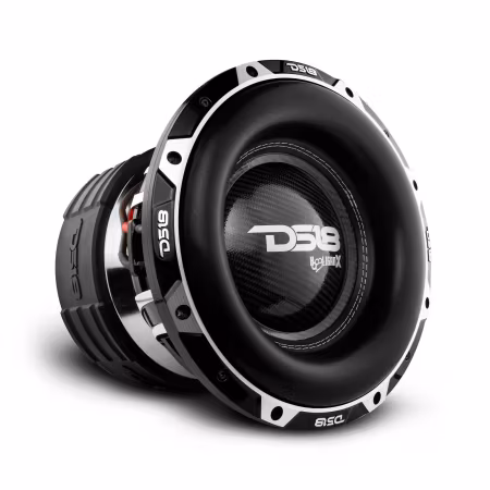 DS18 HOOLIGAN-X12.2DHE, galet tung 12" 2x2 ohm