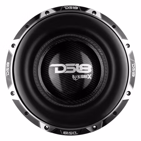 DS18 HOOLIGAN-X12.2DHE, galet tung 12" 2x2 ohm