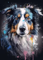 Hund