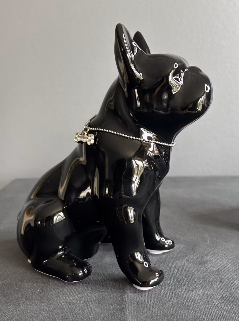 Sparbössa fransk bulldog