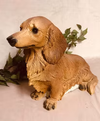 Staty långhårig tax