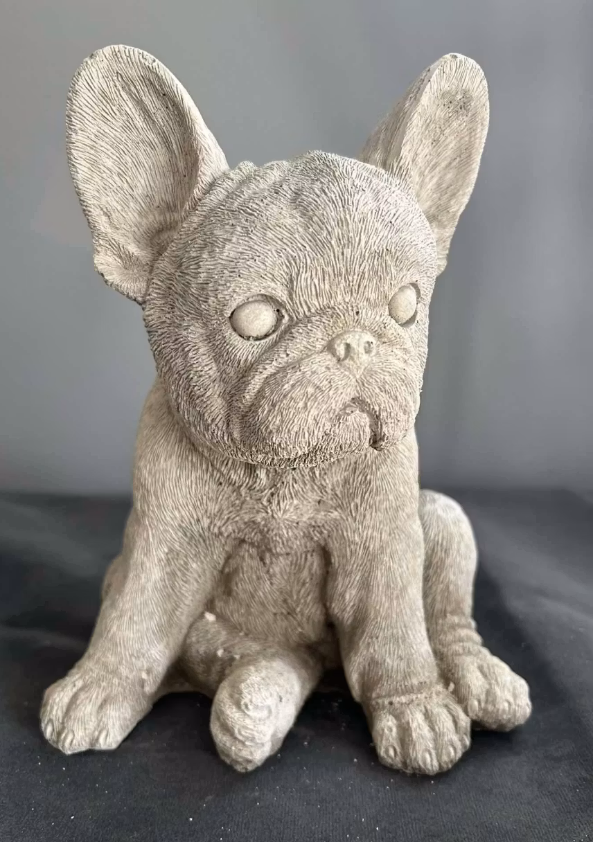 Staty fransk bulldog valp