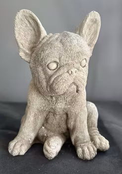 Staty fransk bulldog valp