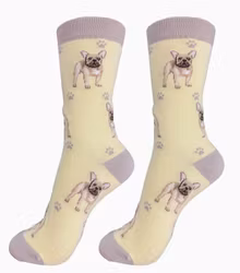 Strumpor fransk bulldog