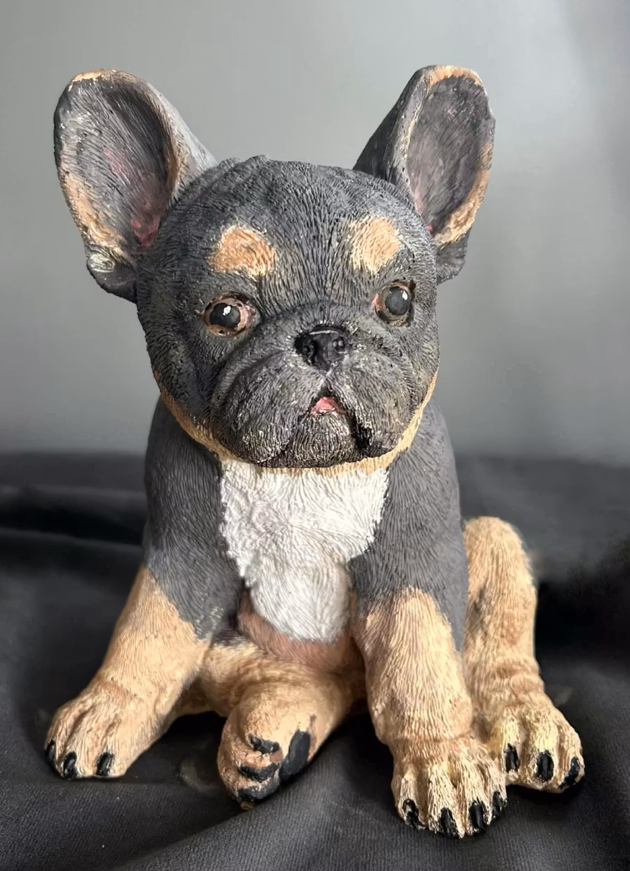 Staty fransk bulldog valp