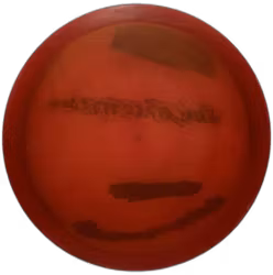 River Pro Trilogy Stamp 2017 Opto (7)