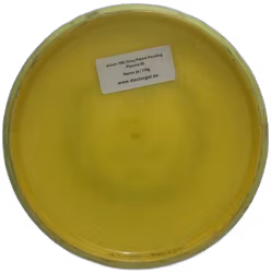 Envy Patent Pending Plasma (6)