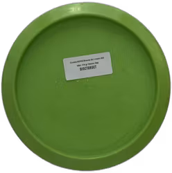 Cookie SDGO Steady (8)