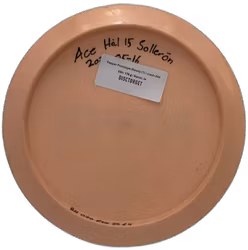 Pepper Prototype Steady (7)