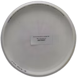 PX-3 Prototype 300 (7)