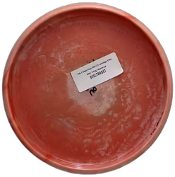 PA-1 Sepo Paju 500 (7)