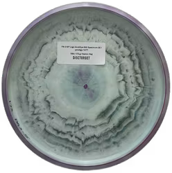 PA-3 SP Logo AndiDye 500 Spectrum (9)