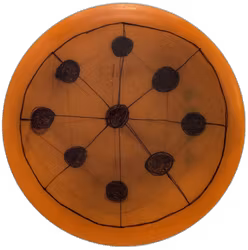 Ginger First Run Steady (7)